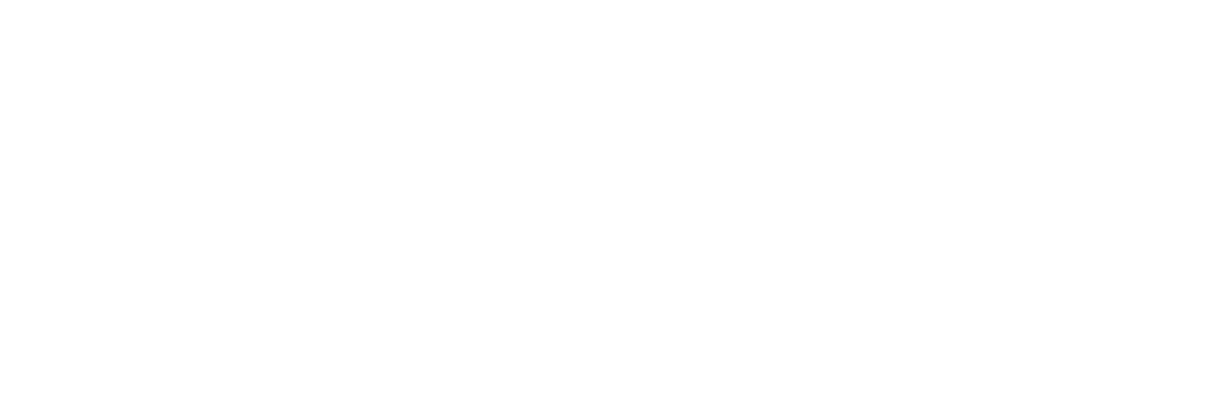 Lingerie Mon Amour logo